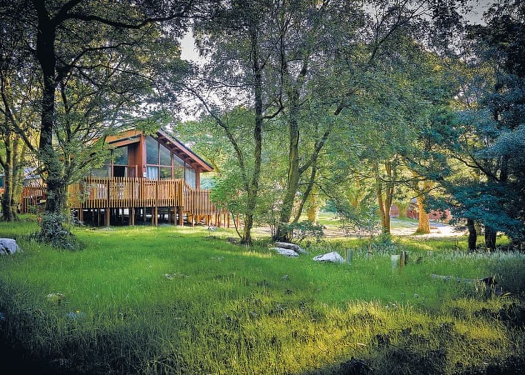 woodland lodge in North Wales w/hot tub! Stay 4nts (sleeps 6 & dog friendly) woodland lodge in North Wales w/hot tub! Stay 4nts (sleeps 6 & dog friendly)